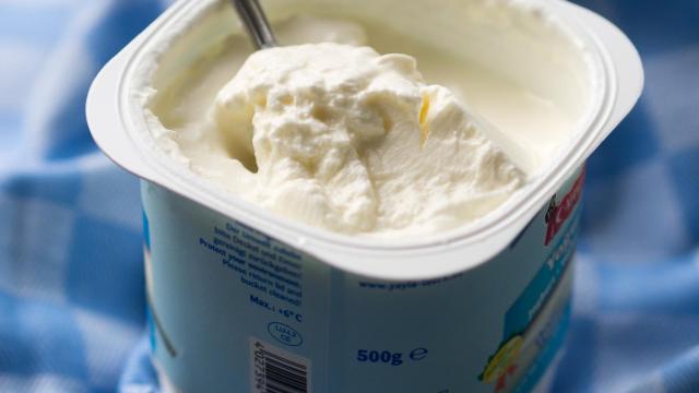 Así será el yogur de microbio, el fármaco del futuro