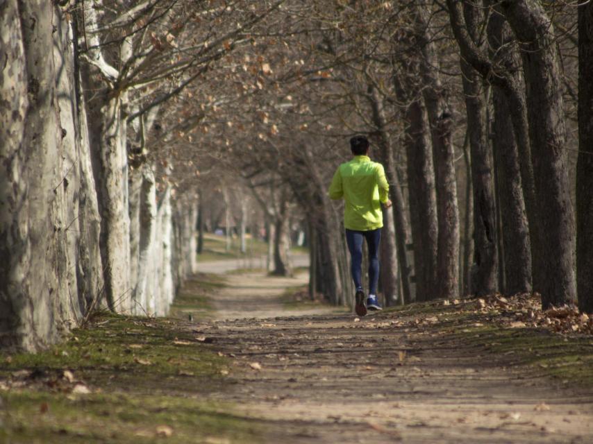 Un runner en mitad del bosque.