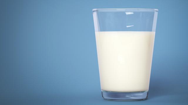 Un vaso de leche.