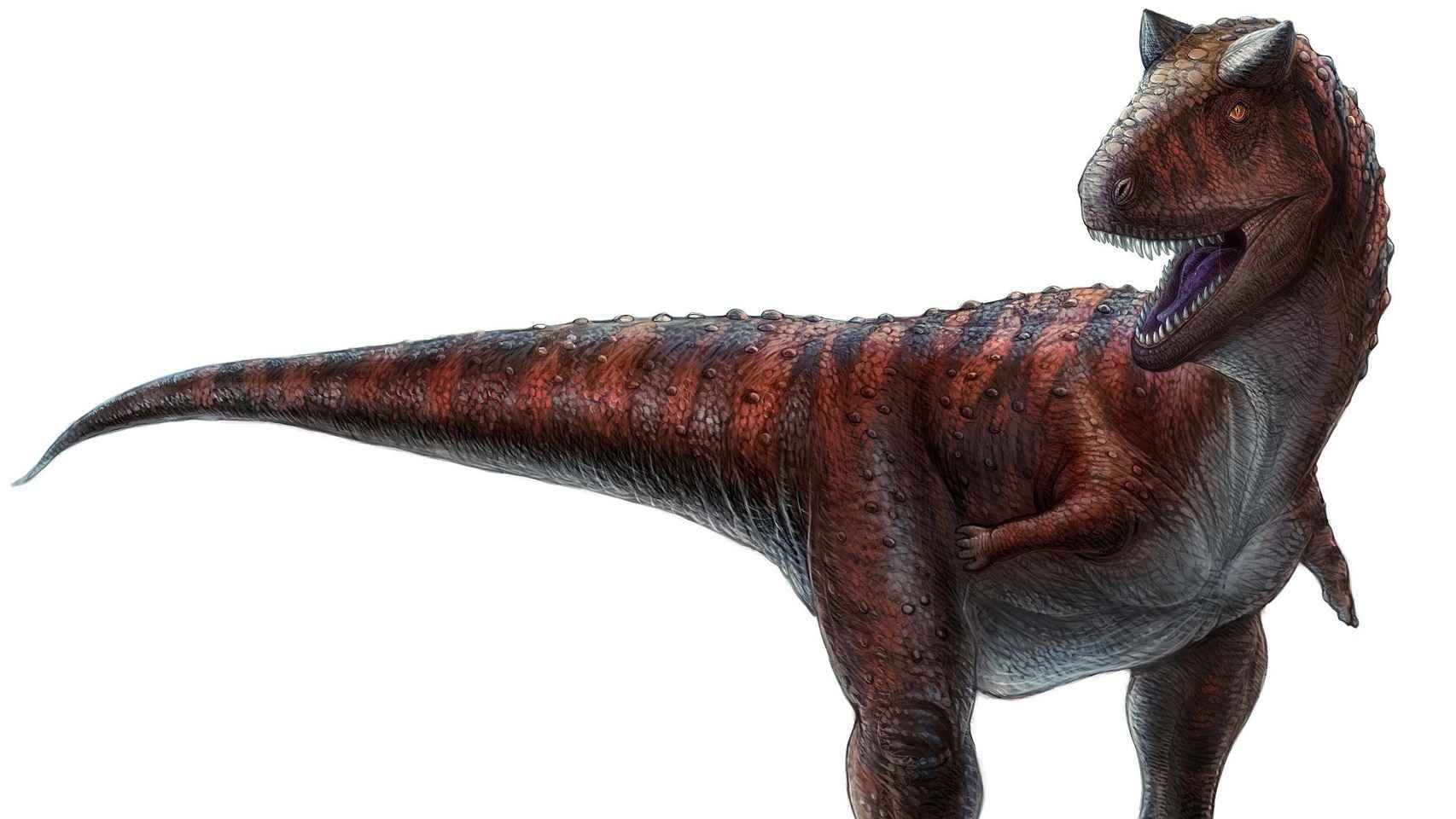 Un Carnotaurus, depredador que habitaba lo que hoy es Sudamérica.