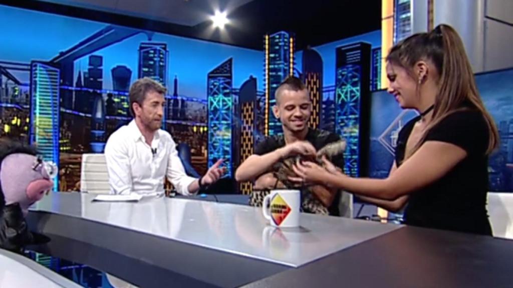 Cristina Pedroche sorprende a Dabiz Muñoz en 'El hormiguero' con un ocelote