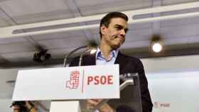 El ex secretario general del PSOE, Pedro Sánchez.