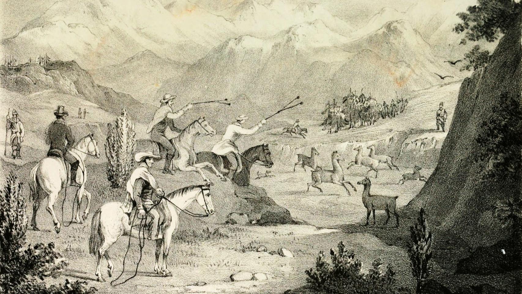 Chilenos cazando guanacos, 1841.