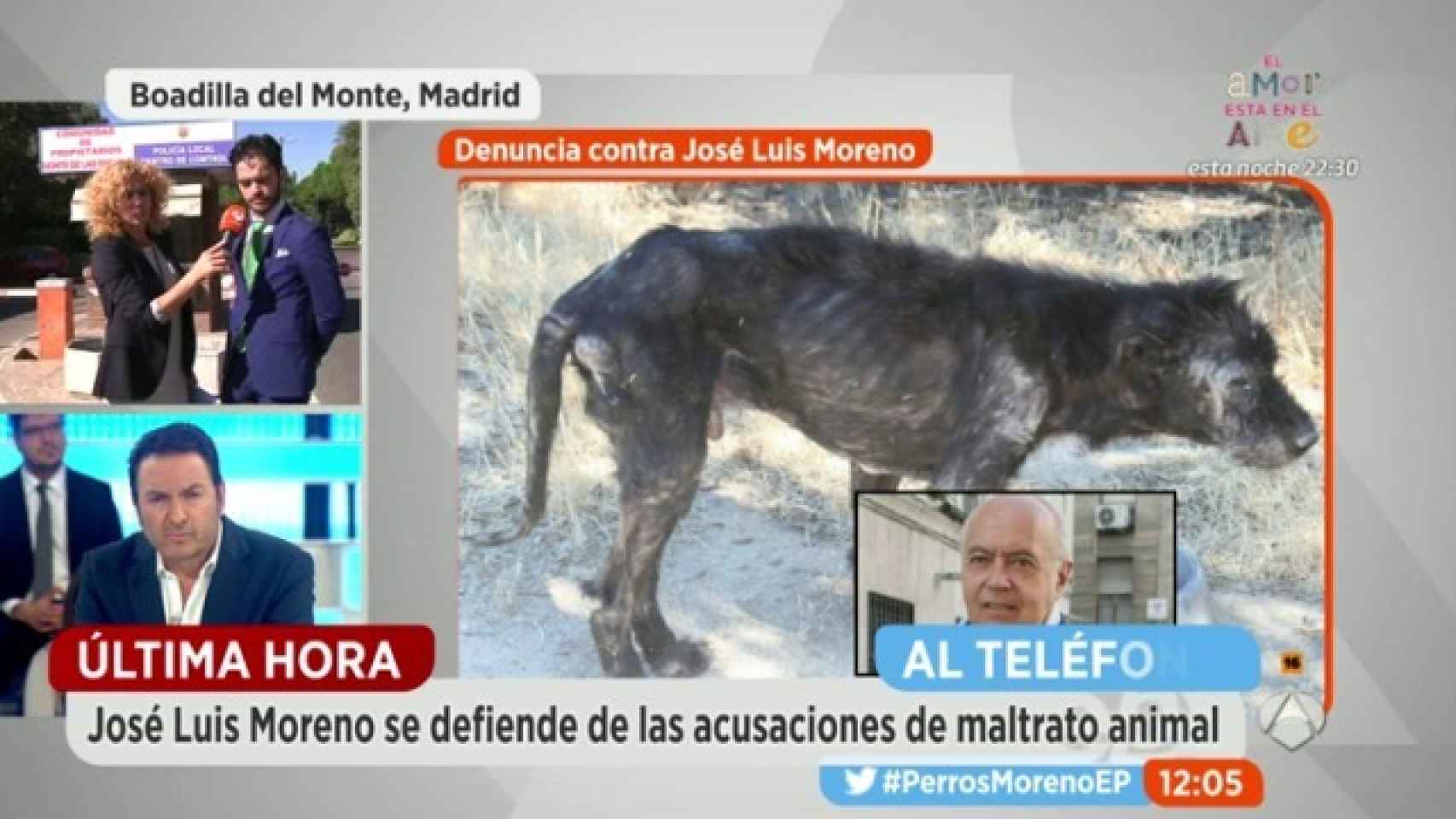 José Luis Moreno habla de chantaje ante la denuncia por maltrato animal