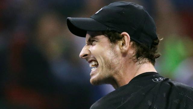 Andy Murray celebra su triunfo ante Roberto Bautista.