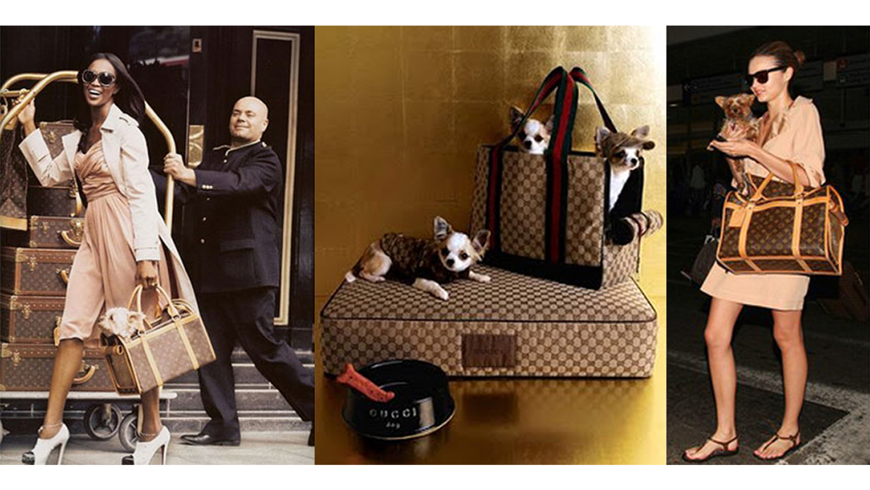 Los bolsos de Gucci y Louis Vuitton llevando a perr@s con estilo.