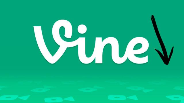 vine-descargar