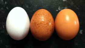 Los huevos vuelven a estar bajo sospecha en Europa.