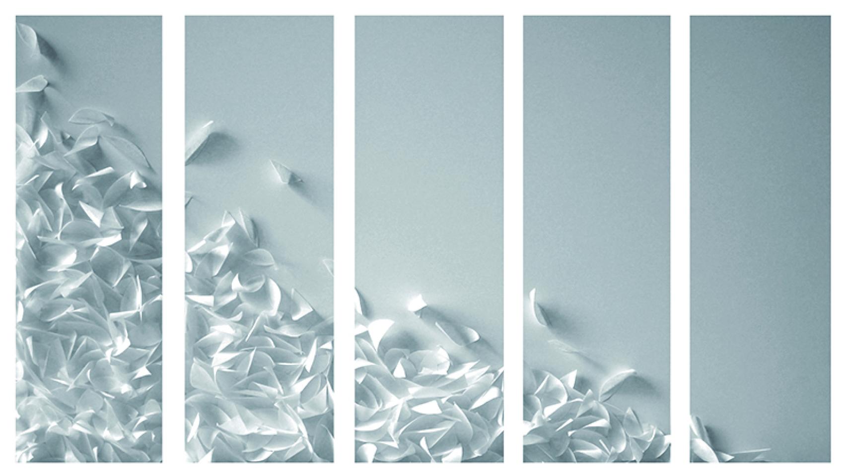 Cristina Almodóvar, Descenso Serie Levedad (2008).