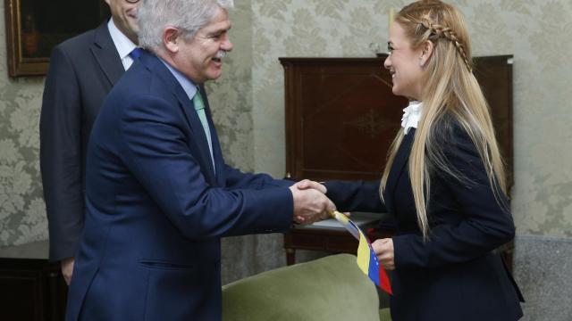 El ministro de Exteriores, Alfonso Dastis, recibe a Lilian Tintori.