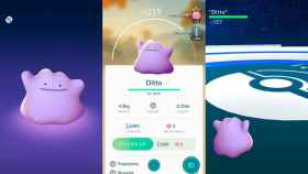 Ditto llega a Pokémon GO, pero no lo verás hasta que lo captures