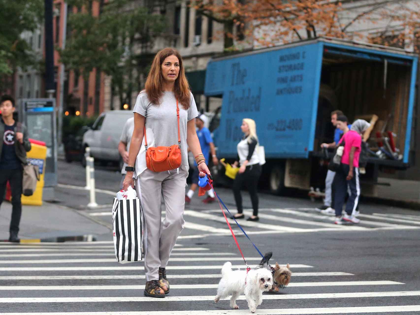 Mariló Montero paseando a sus perros recién llegada a Nueva York, el 20 de septiembre.