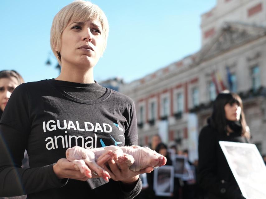 Una activista sostiene un cerdo muerto recién nacido.