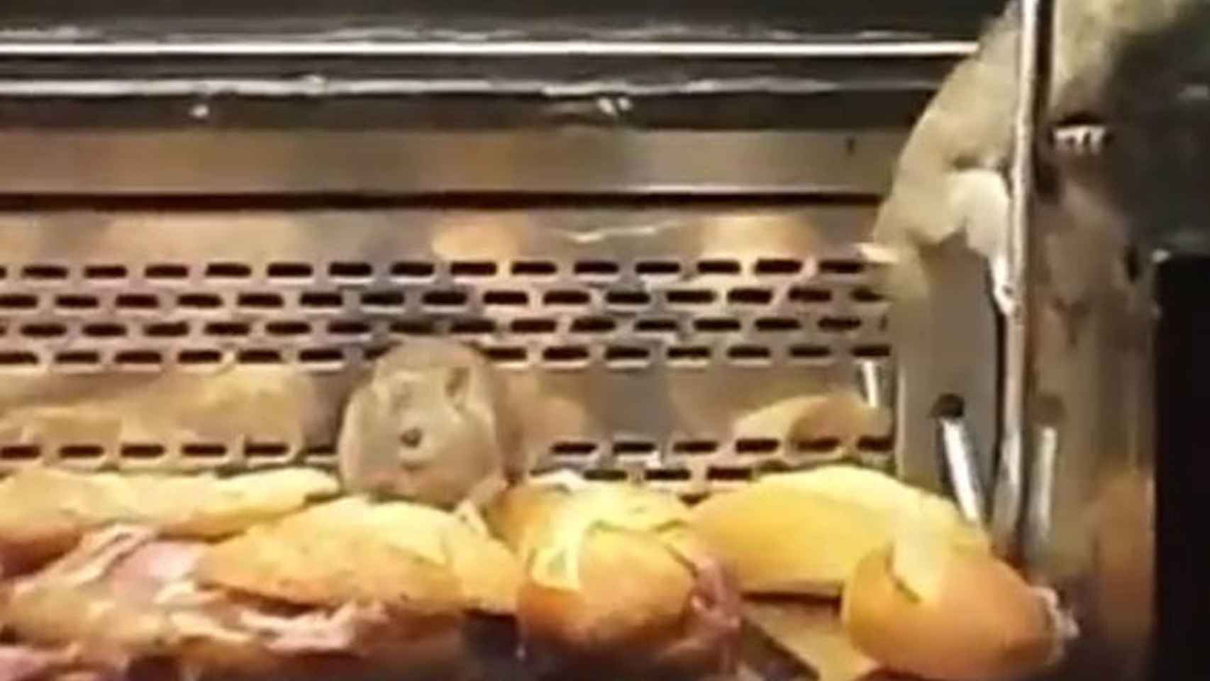 Unas ratas juegan con el pan en el escaparate de una panadería Granier