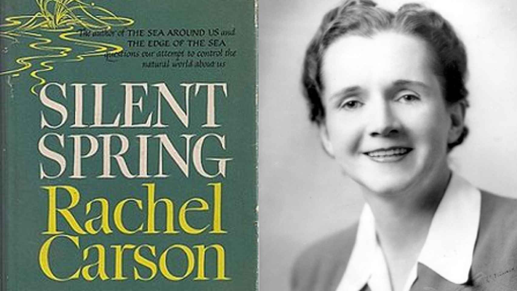 Image: El legado de Rachel Carson