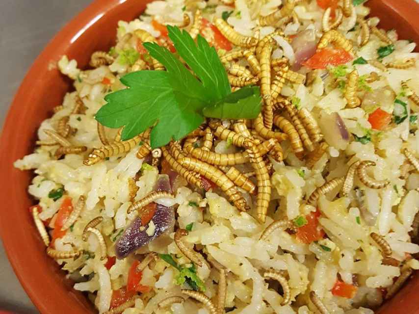 Arroz con frijoles y bichos variados.