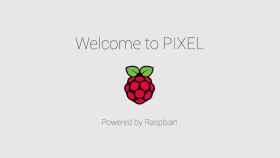 raspberry-pixel