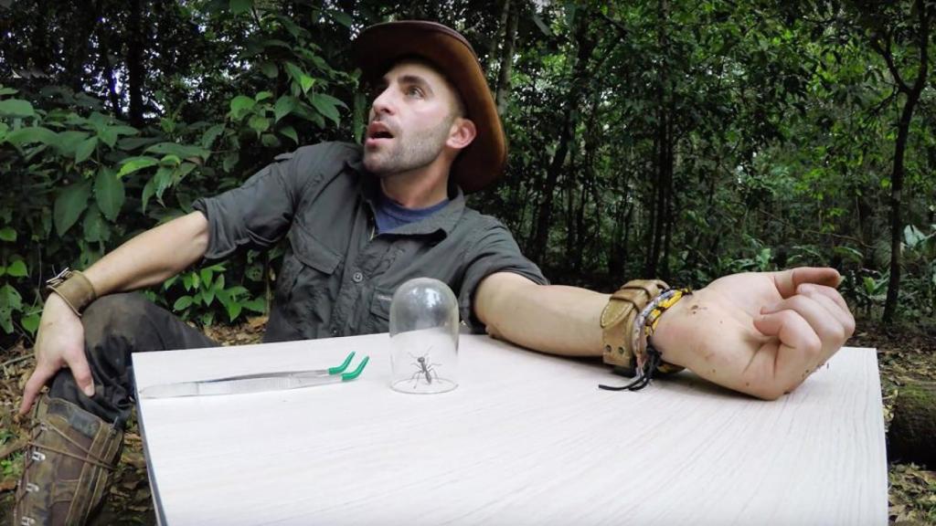 Coyote Peterson, a punto de experimentar en sus carnes la picadura de la hormiga bala.