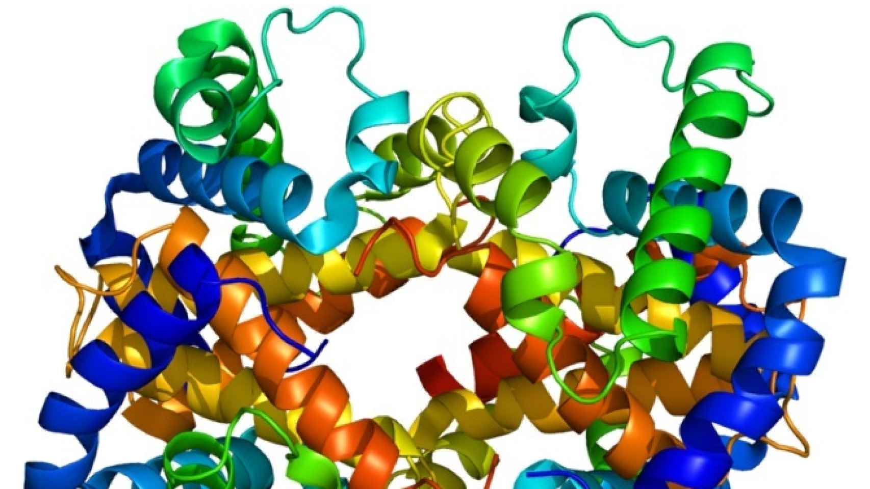 Predecir el comportamiento de las proteínas de diseño abre nuevas posibilidades para su uso.