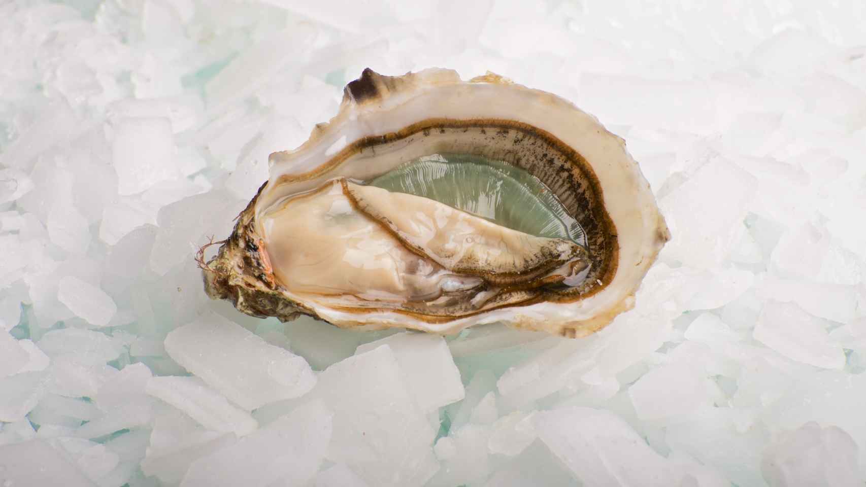 El restaurante Gouthier tiene su propio criadero de ostras en el sur de Francia