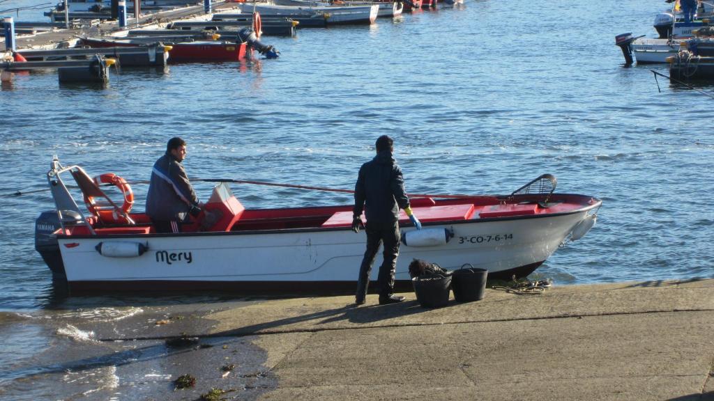 Pablo y Moncho pasan la mañana en el mar a bordo de su lancha.