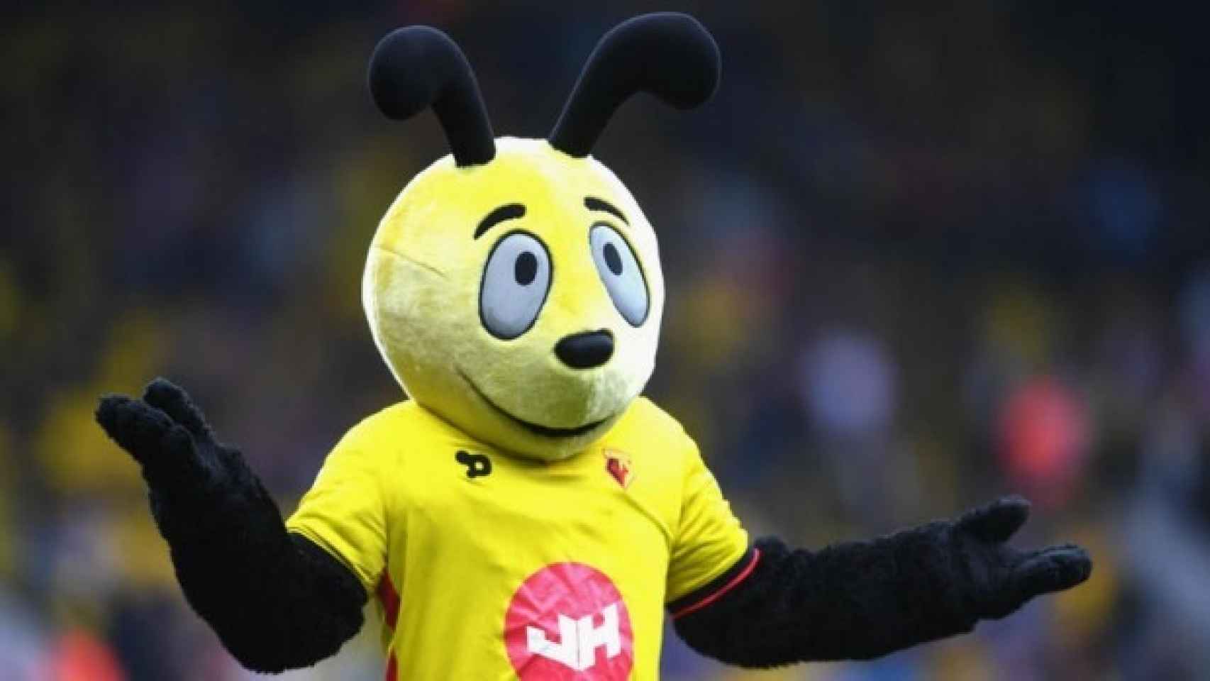 Denuncian a la mascota del Watford por estar fuera de control y mofarse de los rivales