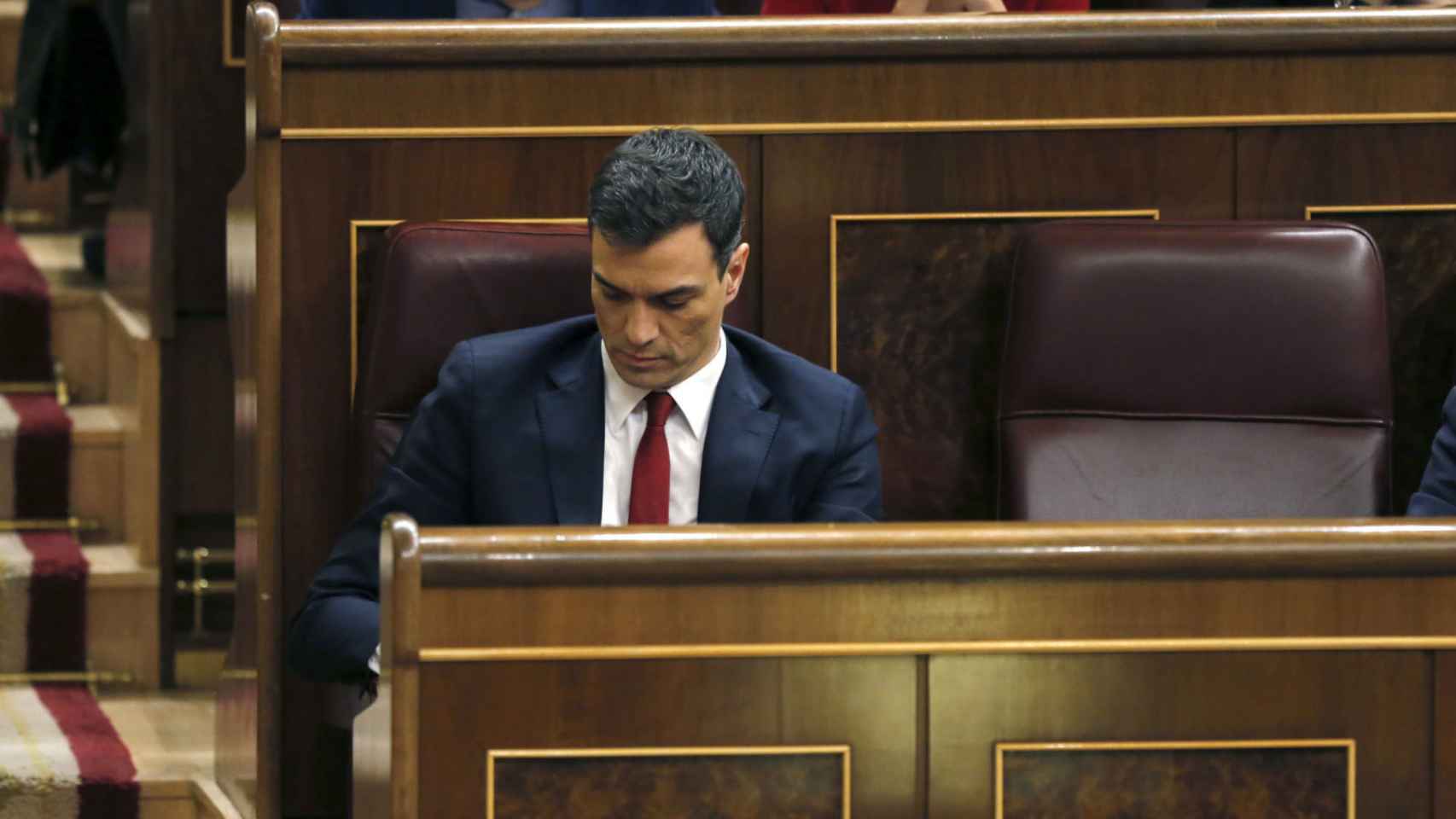 El exsecretario general del PSOE, Pedro Sánchez, en el Parlamento.
