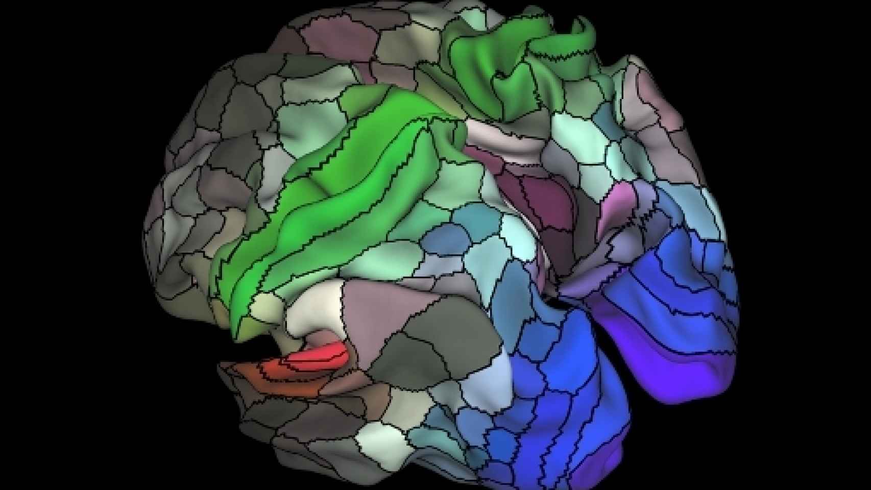 Image: ...Cerebro, exoplanetas y Atapuerca