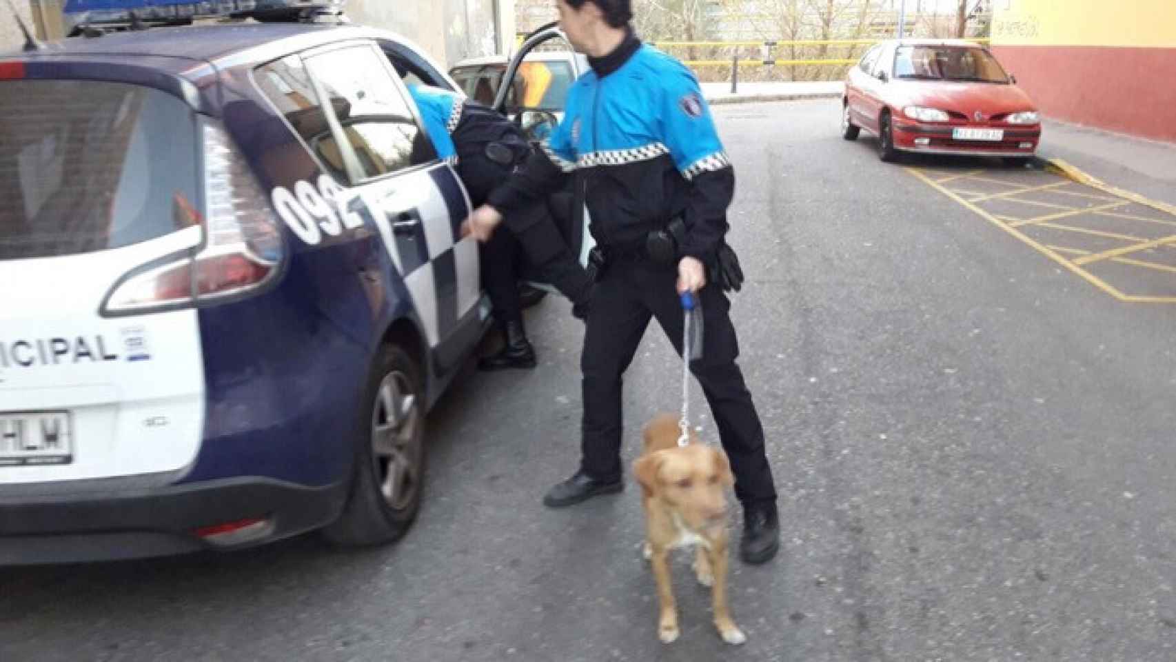 perro-estrangulado-valladolid-policia-1
