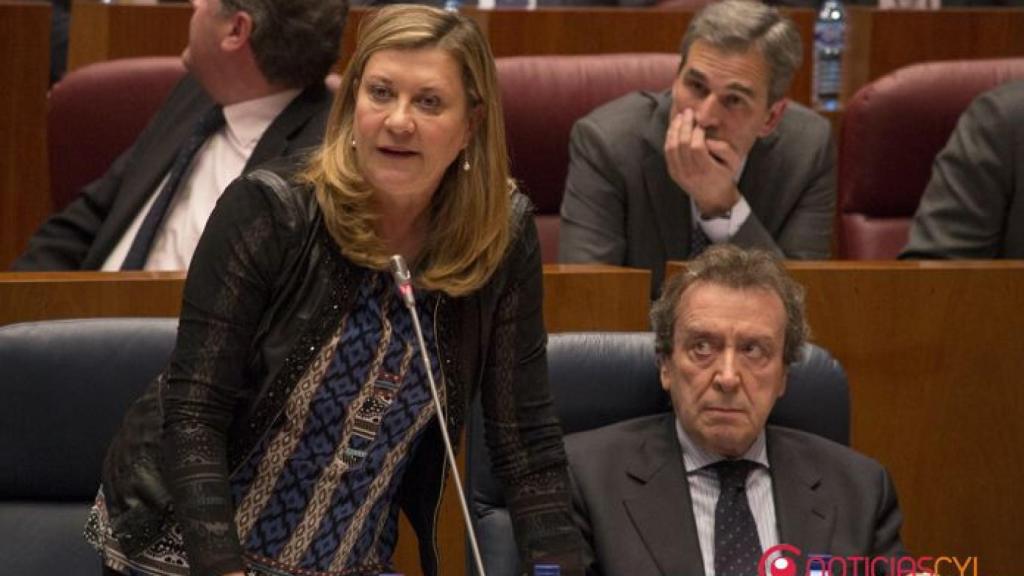 Pilar del Olmo, pp, junta, pleno, cortes