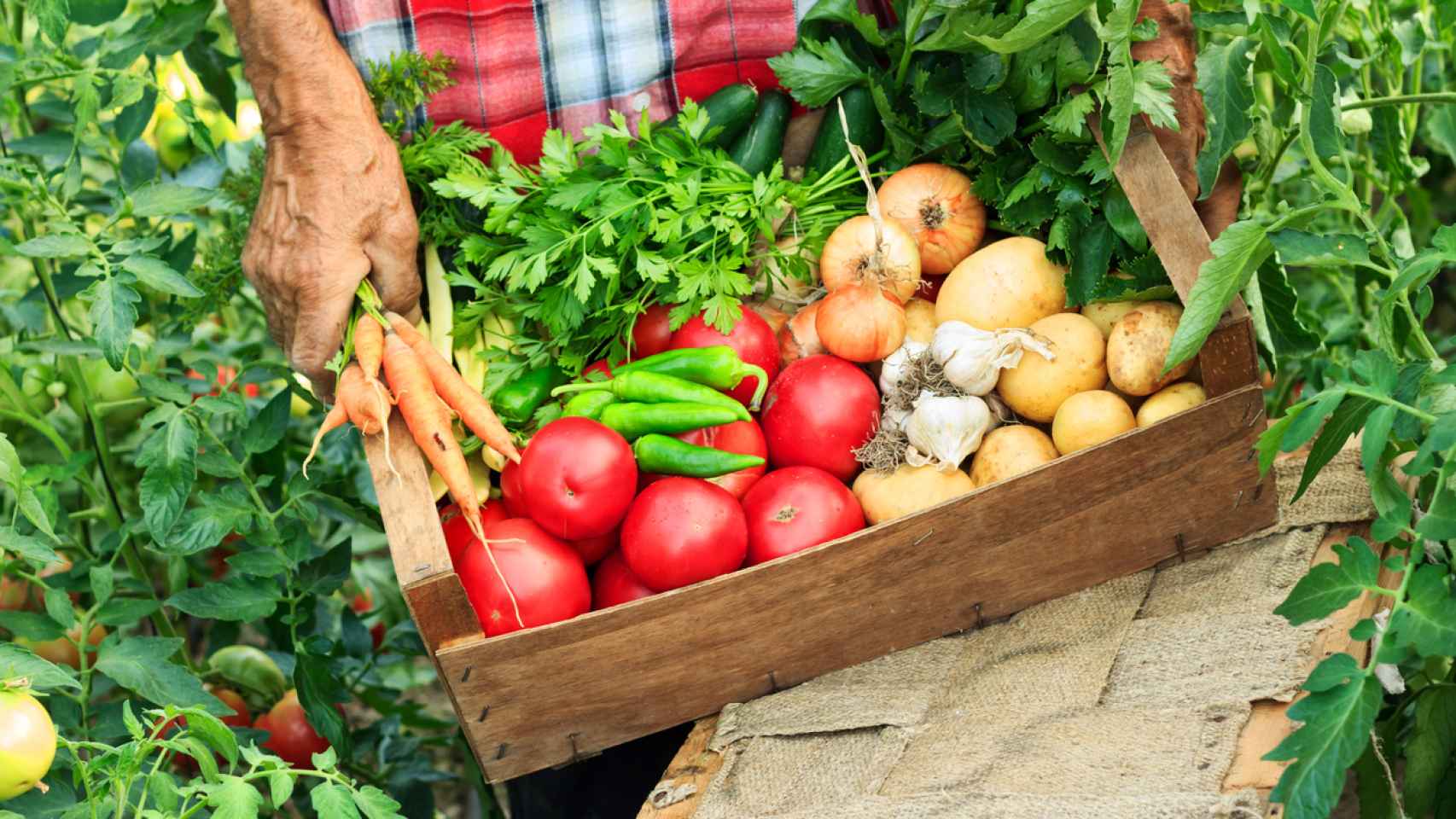 Los alimentos ecológicos cuidan nuestra salud.