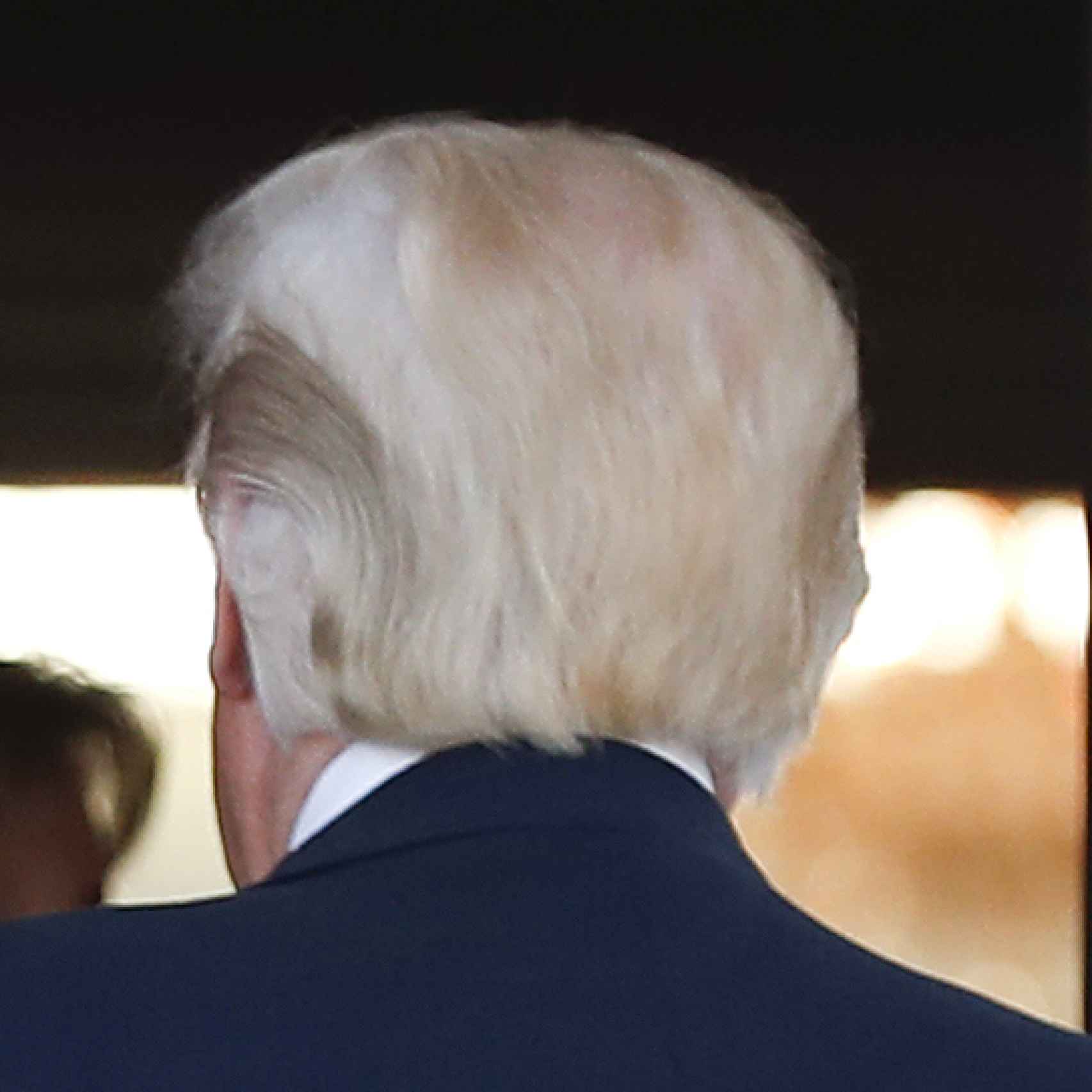 La parte de atrás de la cabeza de Donald Trump