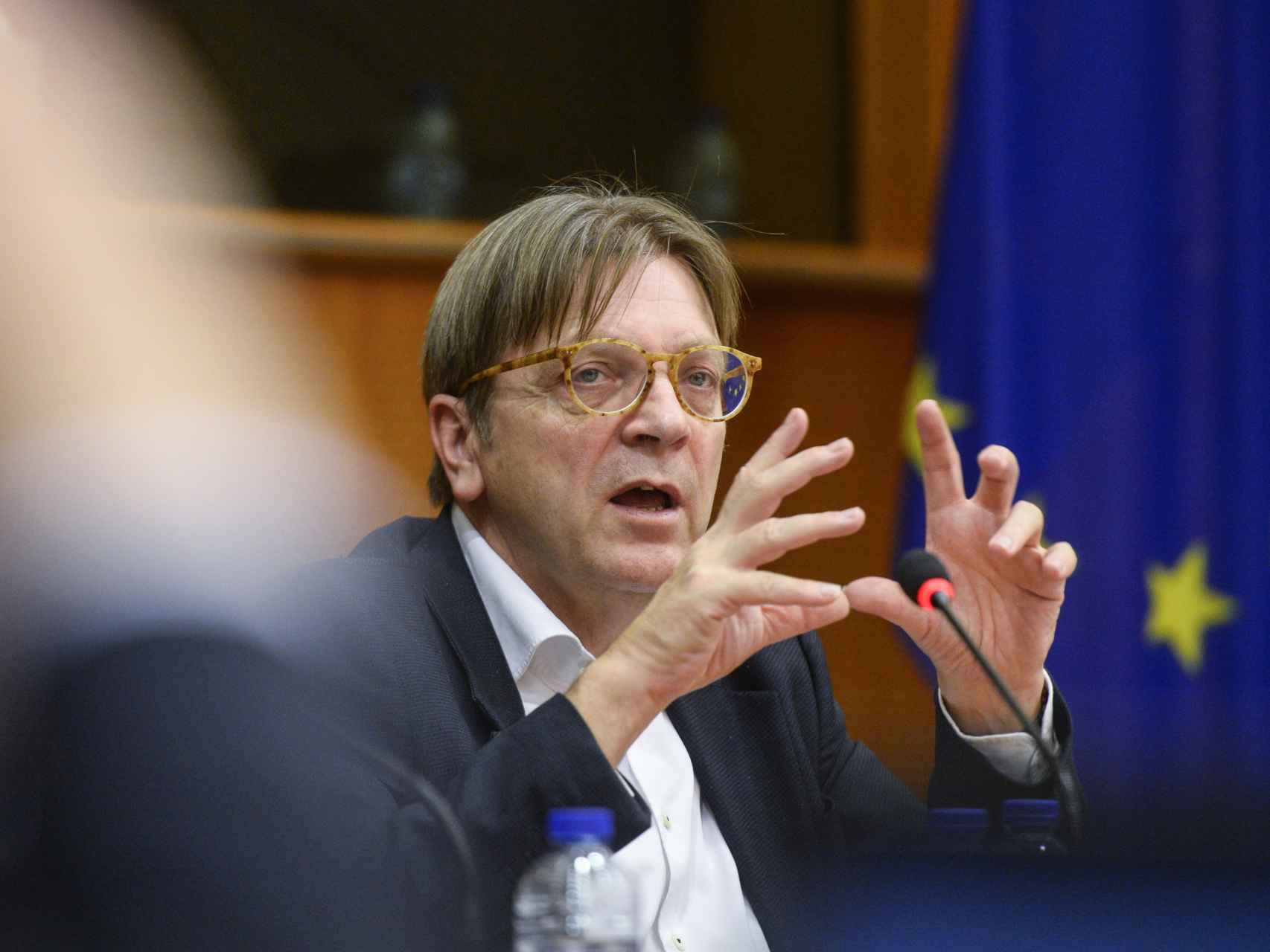 Guy Verhofstadt, candidato del grupo liberal