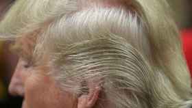 Detalle del pelo de Donald Trump.