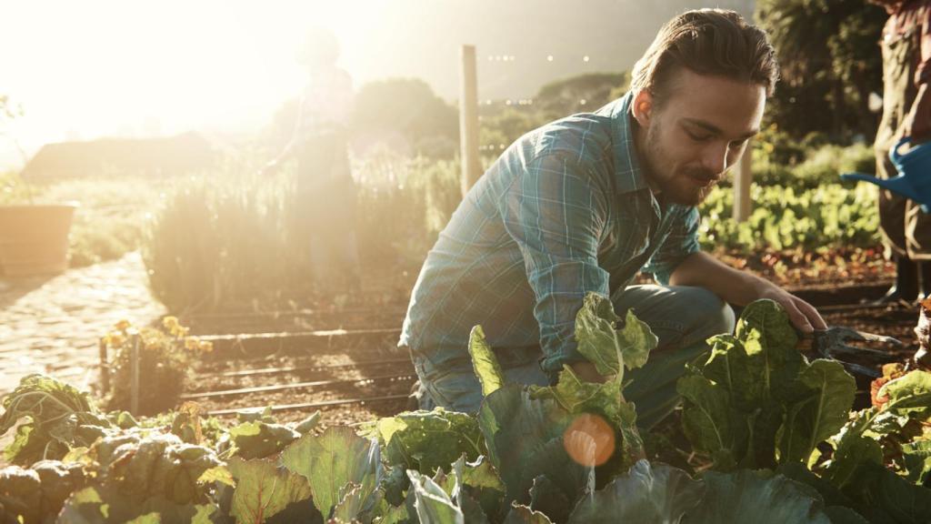 Cómo introducir productos ecológicos en tu dieta