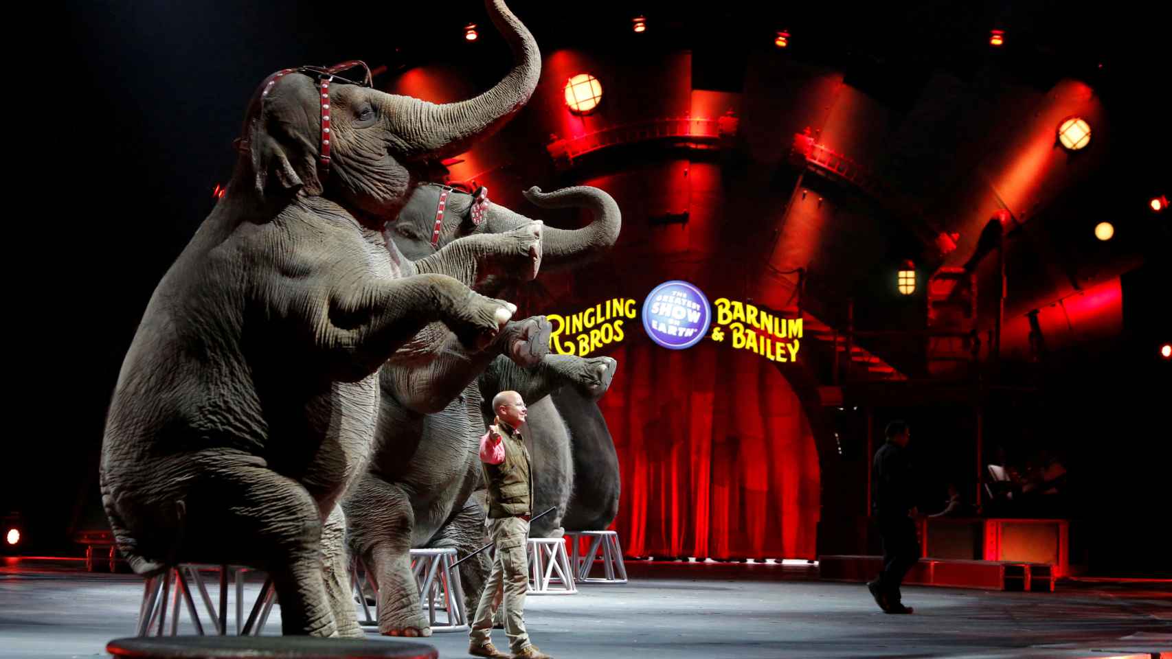 El circo estadounidense Ringling Bros. echa el telón tras 146 años de espectáculo