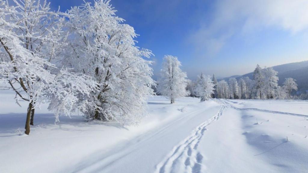 curiosidades sobre la nieve