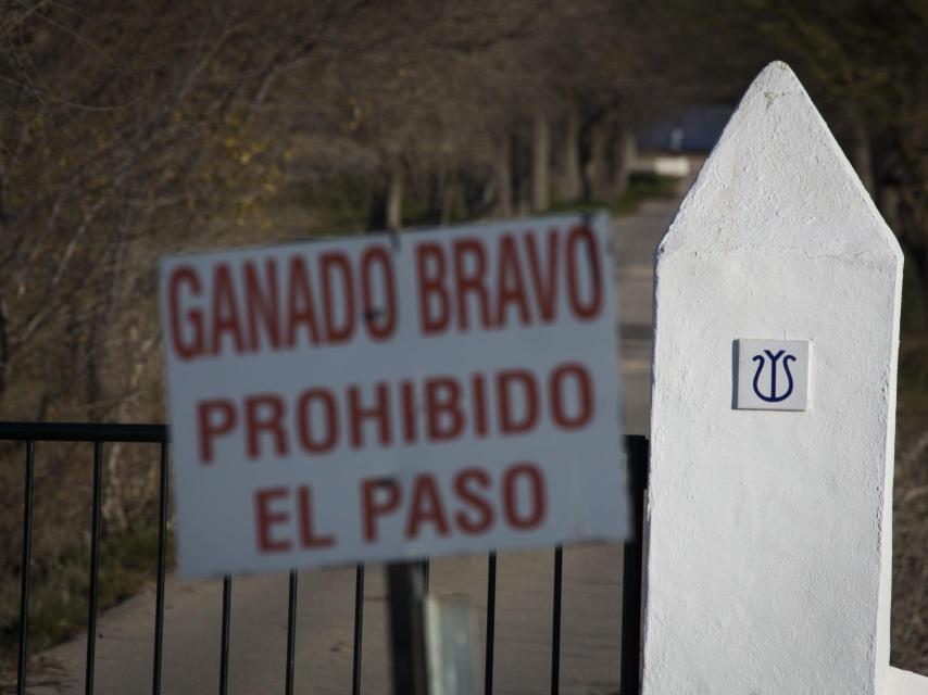 La finca de Los Ojuelos, de la familia Benítez-Cubero que abarca los términos de Marchena, Morón, Osuna y Pruna (Sevilla).