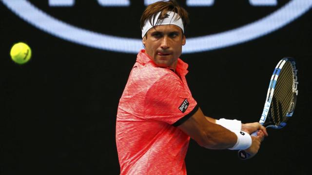 David Ferrer durante este Open de Australia.