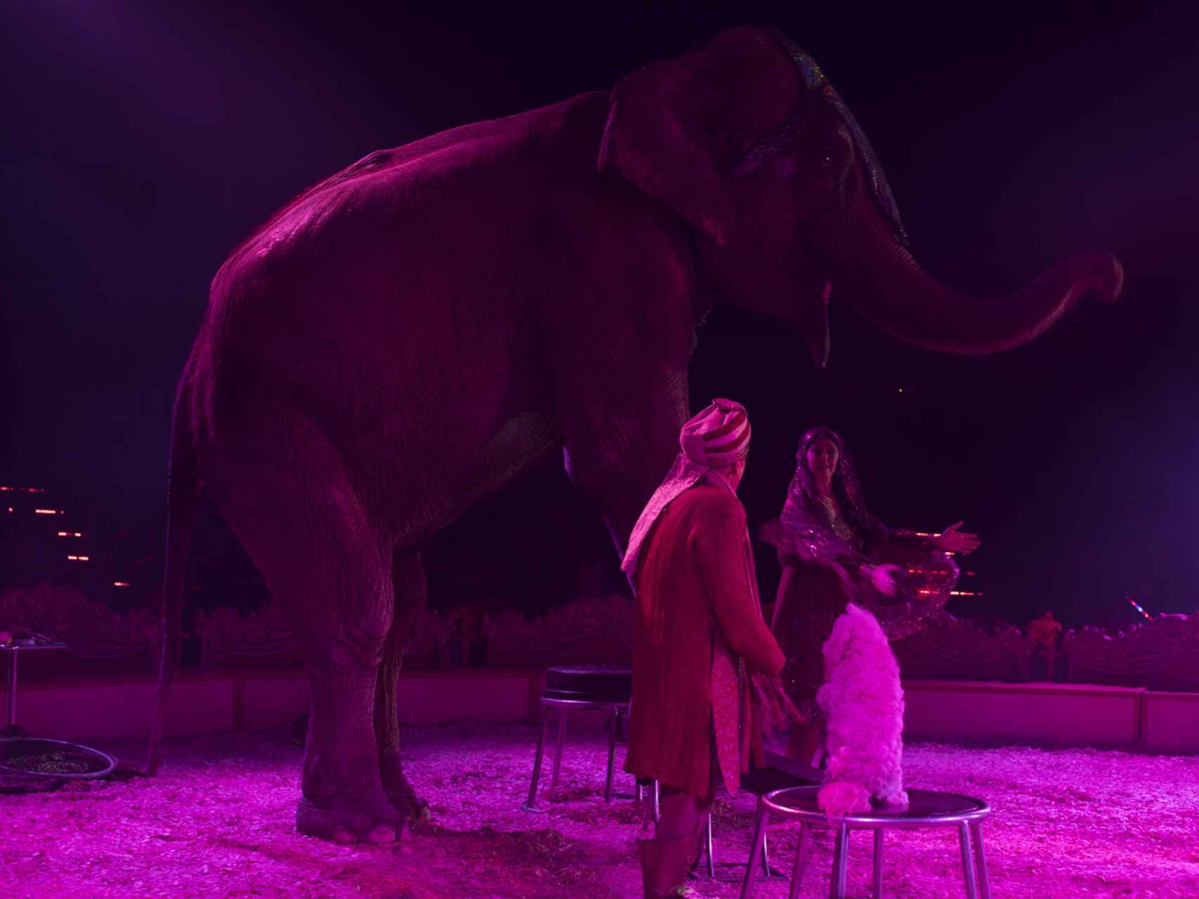Dumba, la elefante, en plena actuación con su adiestradora, Ivonne. Llevan juntas más de 38 años.