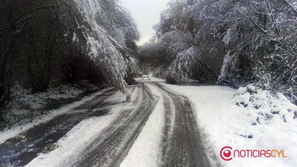 Zamora nieve sanabria 4 1