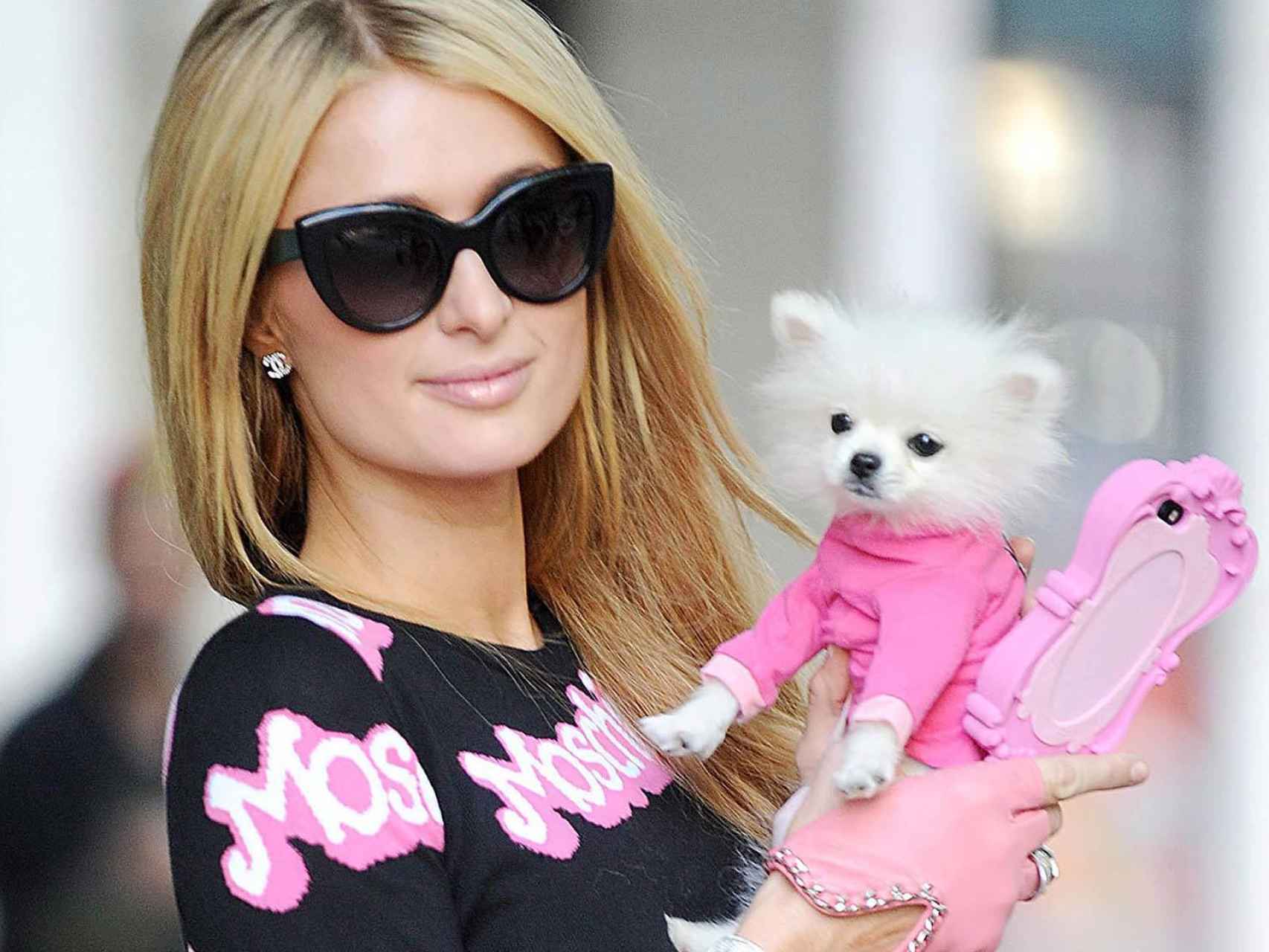 Paris Hilton y su perro.