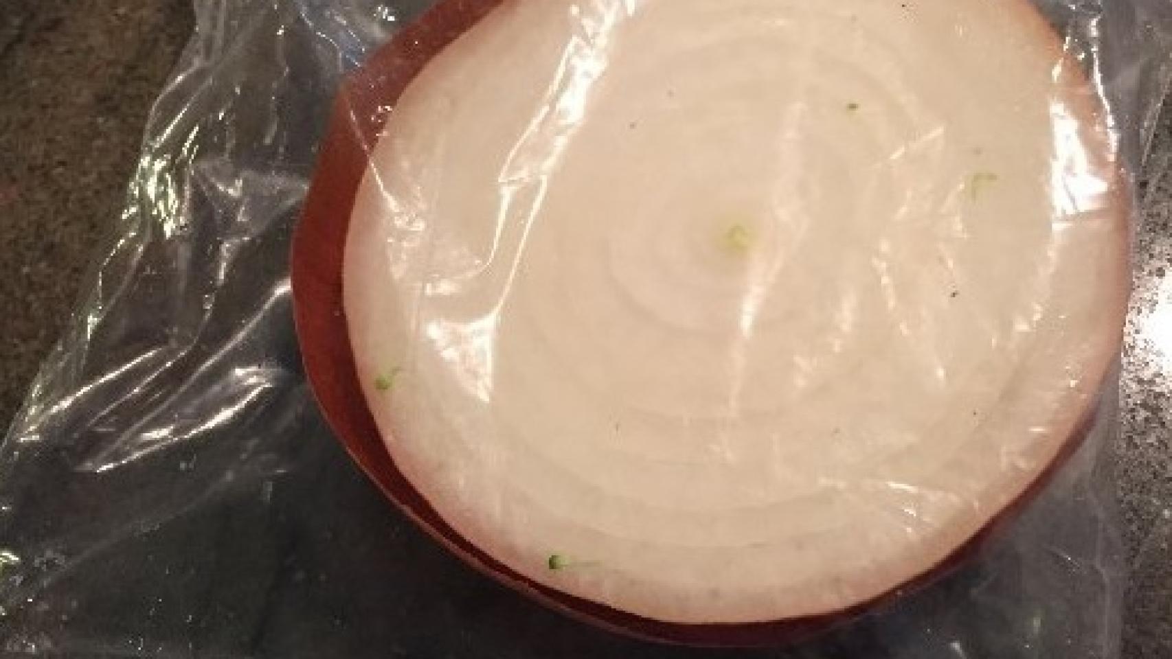 La media cebolla metida en una bolsa hermética que quiere ganar a Trump en Twitter.