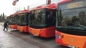 autobuses-nuevos-burgos