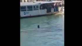 Un inmigrante africano se ahoga en el Gran Canal de Venecia