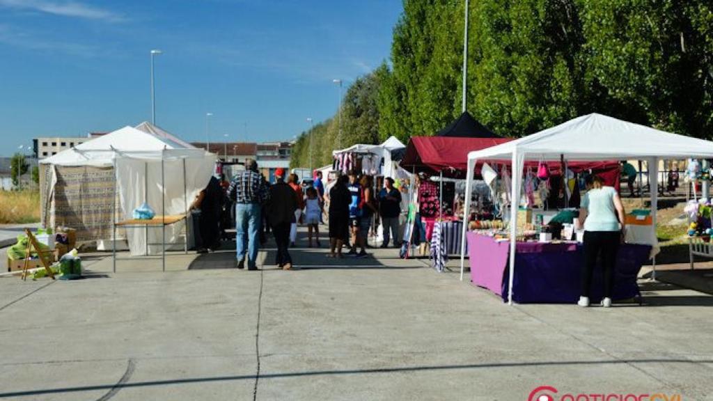 feria-del-caballo-2016-ciudad-rodrigo-51