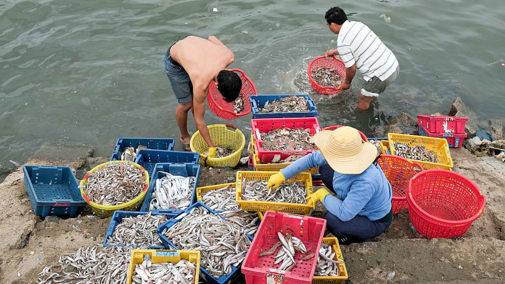 Pescadores vietnamitas clasifican sus capturas.