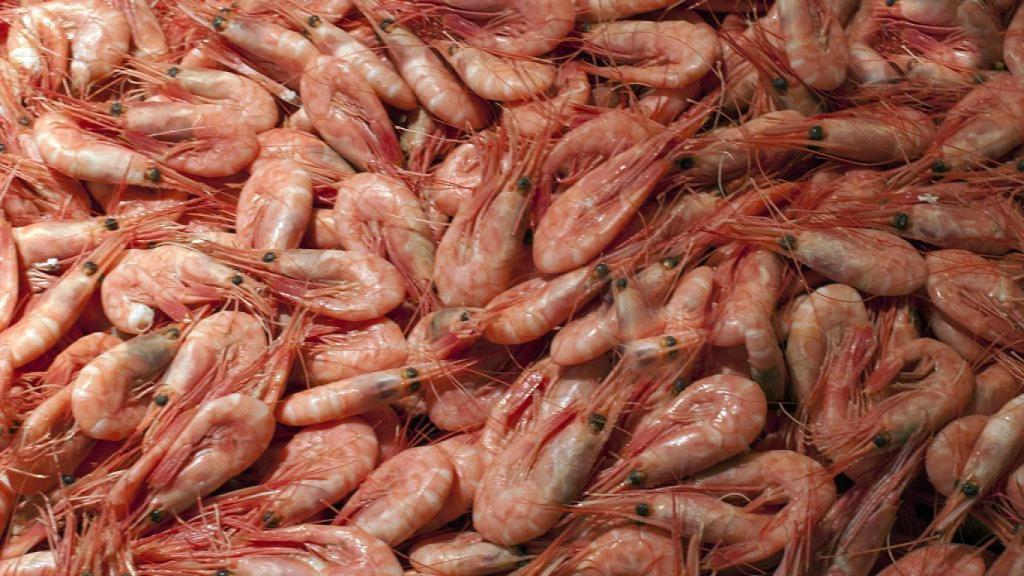 Gambas en un mercado de Bergen, Noruega.