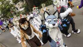 Los furries son marchas de grupos con trajes de mascota. Se han popularizado en EEUU.