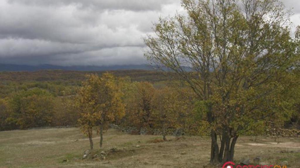 Paisaje de la Sierra de la Demanda